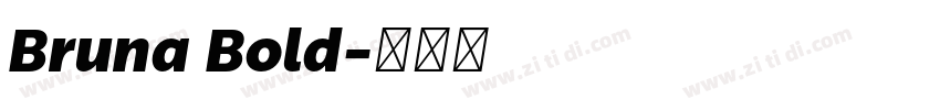 Bruna Bold字体转换
